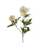 Umetna peonija x3 Florence 70 cm krem barva - umetno cvetje BONSAI