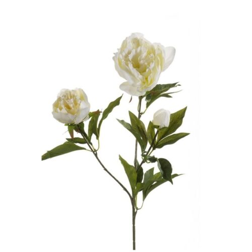 Umetna peonija x3 Florence 70 cm krem barva - umetno cvetje BONSAI