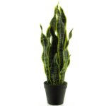 Umetna Sanseverija 51 cm v lončku