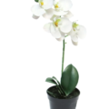 Umetne orhideje bele - umetne rože - umetno cvetje Bonsai