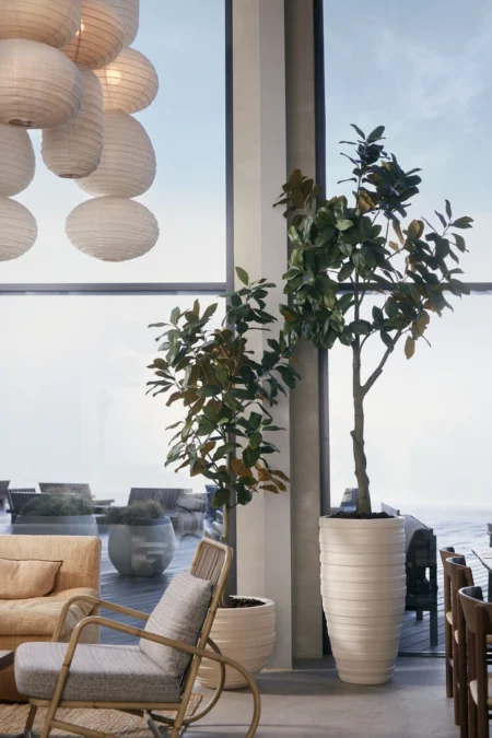 Umetne rastline - umetna magnolija