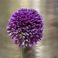 Umetno cvetje Okrasni luk Allium lila 40 cm