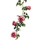 Vrtnica girlanda roza 145 cm