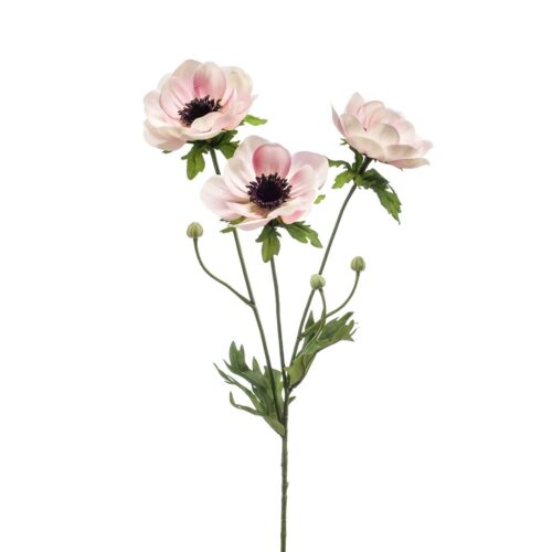 anemona veja x3 pink krem 75 cm 600832
