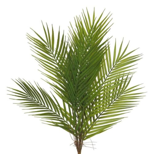 umetna palma 60cm areka šop 600662