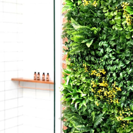 zelena stena Florida - zeleni zid by Bonsai