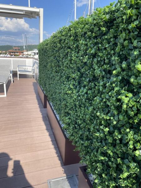 zelene stene eucalyptus(1)