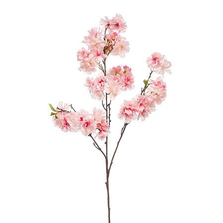Cvetna veja češnja 105cm roza