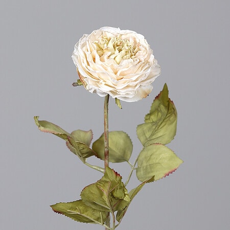 Umetna vrtnica dry look krem 50 cm 900714