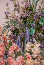 Amarant veja modra 97 cm