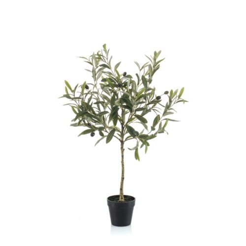 Umetna oljka 70cm v črnem loncu