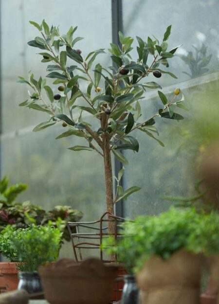 umetna oljka mini v loncu