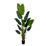 umetna strelitzia 180 cm promo