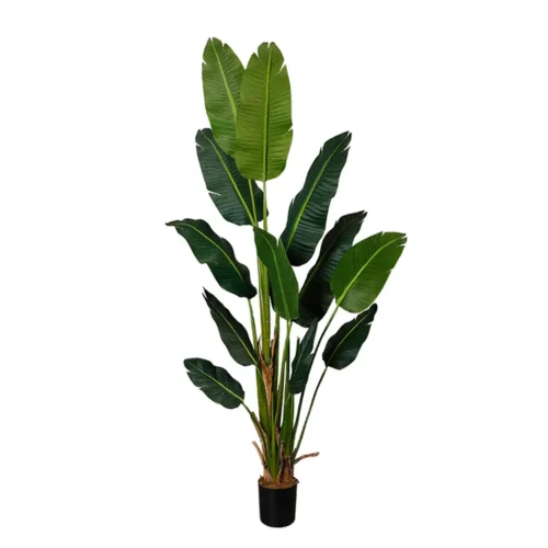 umetna strelitzia 180 cm promo