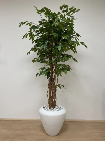 umetna drevesa - umetni fikus benjamin by Bonsai