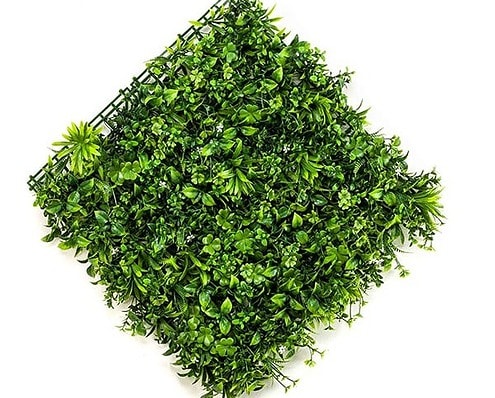 Zelena stena 50 x 50 cm Dubai