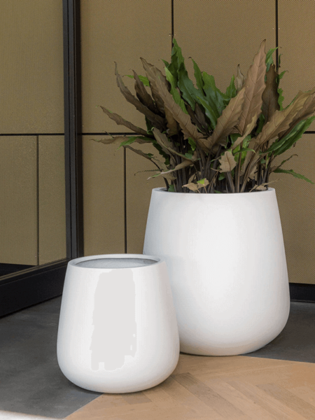 Okrasni lonec PAX M mat bele barve