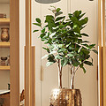 Okrasni lonec zlat Laris 54 x v67 z umetno rastlino