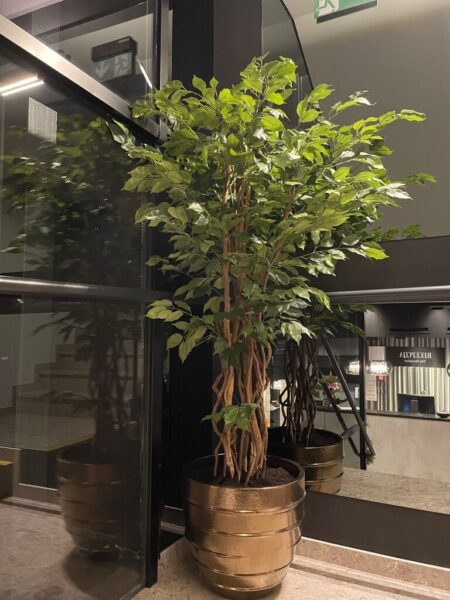 Umetna drevesa Fikus