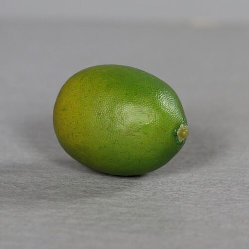 Umetna limeta 7,5cm 700794