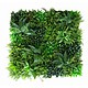 Zeleni panel - green wall - zeleni zid Bonsai
