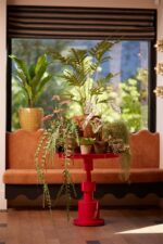 Epifil plezalka 120 cm