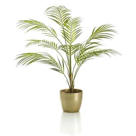 umetna palma Kamadorea 85cm v zlatem loncu