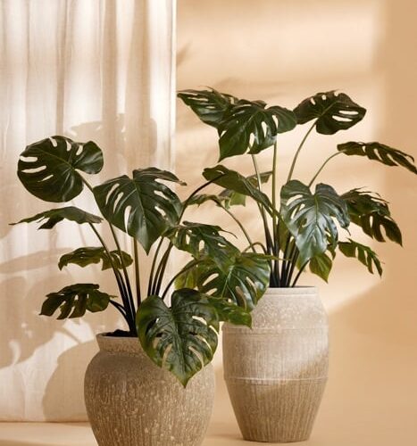 umetna monstera rastlina 80 cm v loncu Bonsai Dekor
