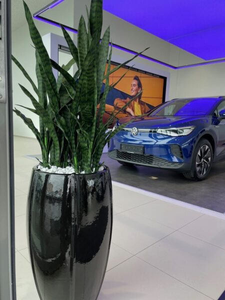 Okrasni lonci za rože Beauty in umetne sansevierije