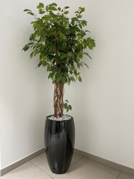 Okrasni lonec za rože Beauty črne barve in Fikus umetno drevo(1)