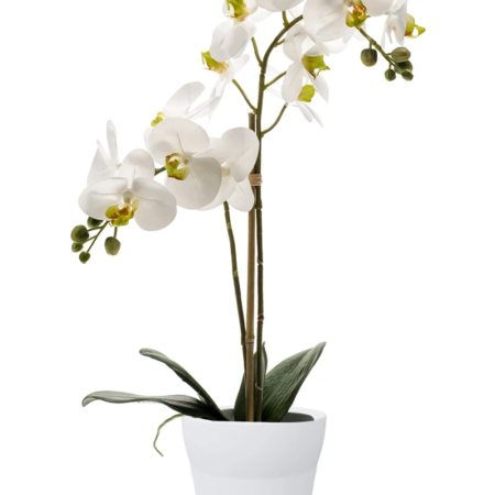 Orhideja real touch bela v loncu 65 cm - umetne orhideje in umetno cvetje