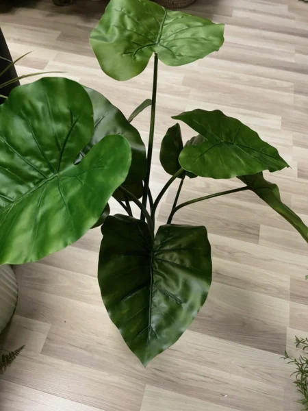 Umetna Alokazija 70 cm
