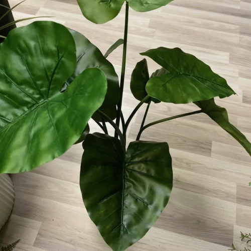 Umetna Alokazija 70 cm