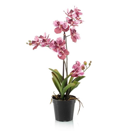 Umetna orhideja v lončku mix pink 70 cm Vanessa 900928
