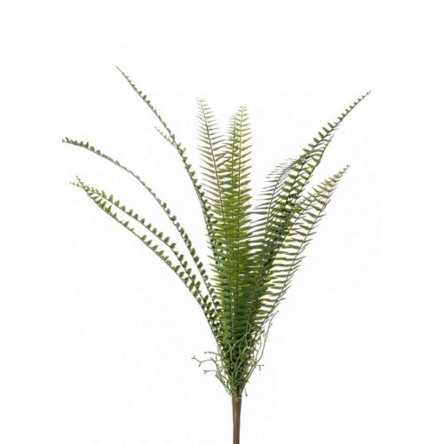 Umetna praprot 60cm x15 - 840556