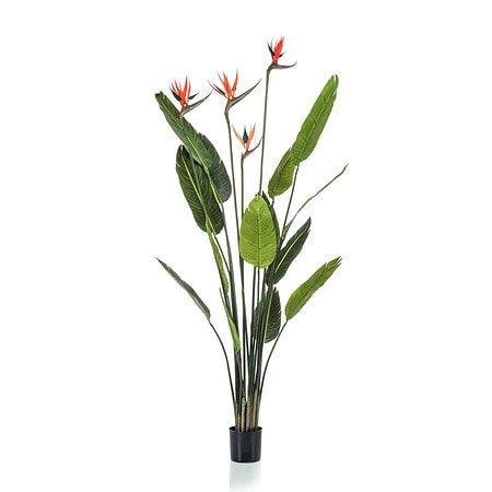 Umetna rastlina Strelitzia 150cm