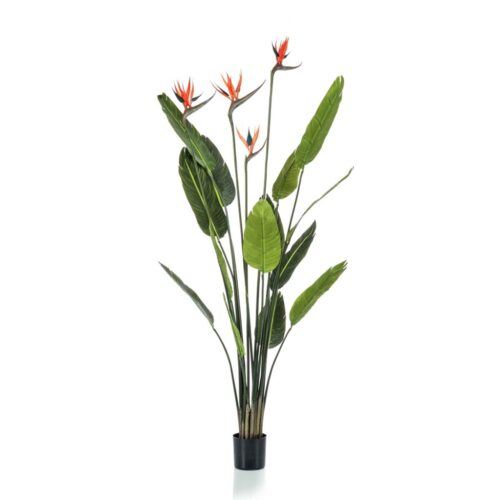 Umetna rastlina Strelitzia 150cm Strelicija s cvetovi 150 cm