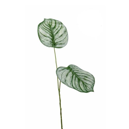 Umetni listi Kalateja 50 cm 840558