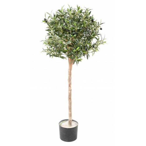 Oljka 120 cm 900945