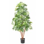 Šeflera 150 UV 900951