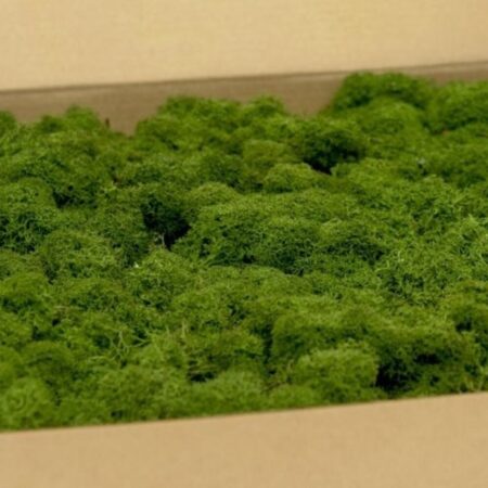 prezerviran mah temno zelen gozdna(1)