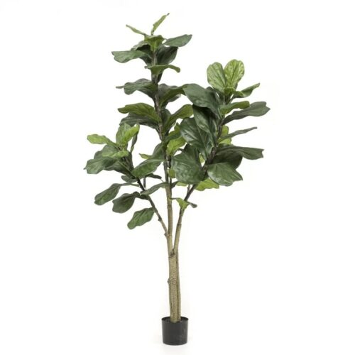 Umetni Fikus Lyrata - umetna figa 180cm