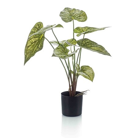 Umetna rastlina Kaladium 60cm v loncu 900967