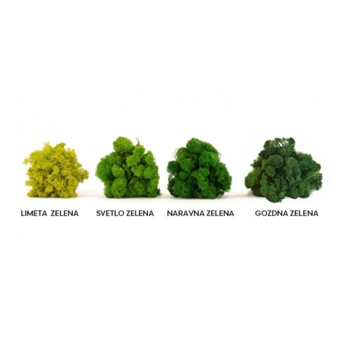 umetni prezerviran mah Jelenov lišaj light green 1kg