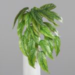 Listnata plezalka 55cm rumeno zelena