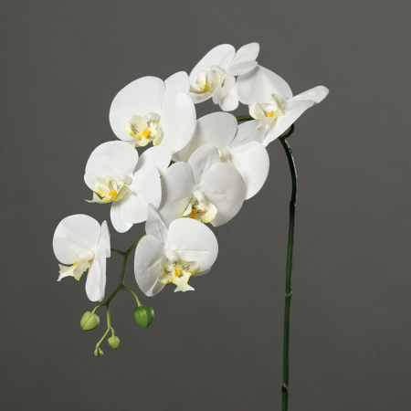 Umetna orhideja veja 100cm bela 910119