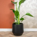 Norell okrasni lonec 30 x 32š cm črn