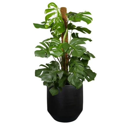 Norell okrasni lonec 30 x 32š cm črna barva