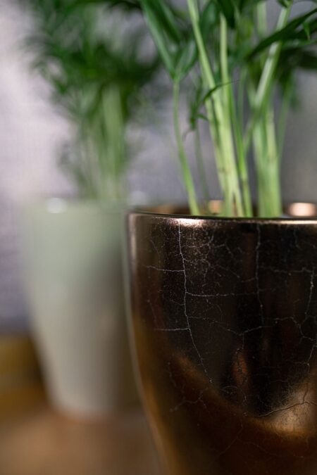 Okrasni lonci dekorativni za rože Sven zlate barve