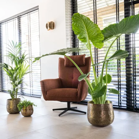 Okrasni lonec Calvin mat zlate barve š38 x v32 cm - okrasni lonci Bonsai